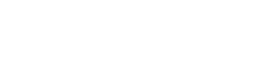 Tonini Distribuidora